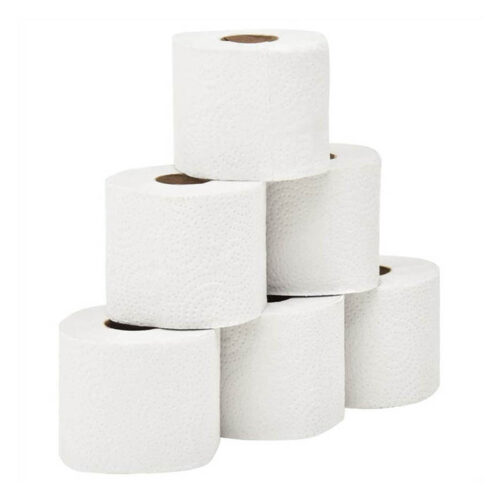 2 Ply Embossed Toilet Paper 128 Rolls 250 Sheets 453770 0